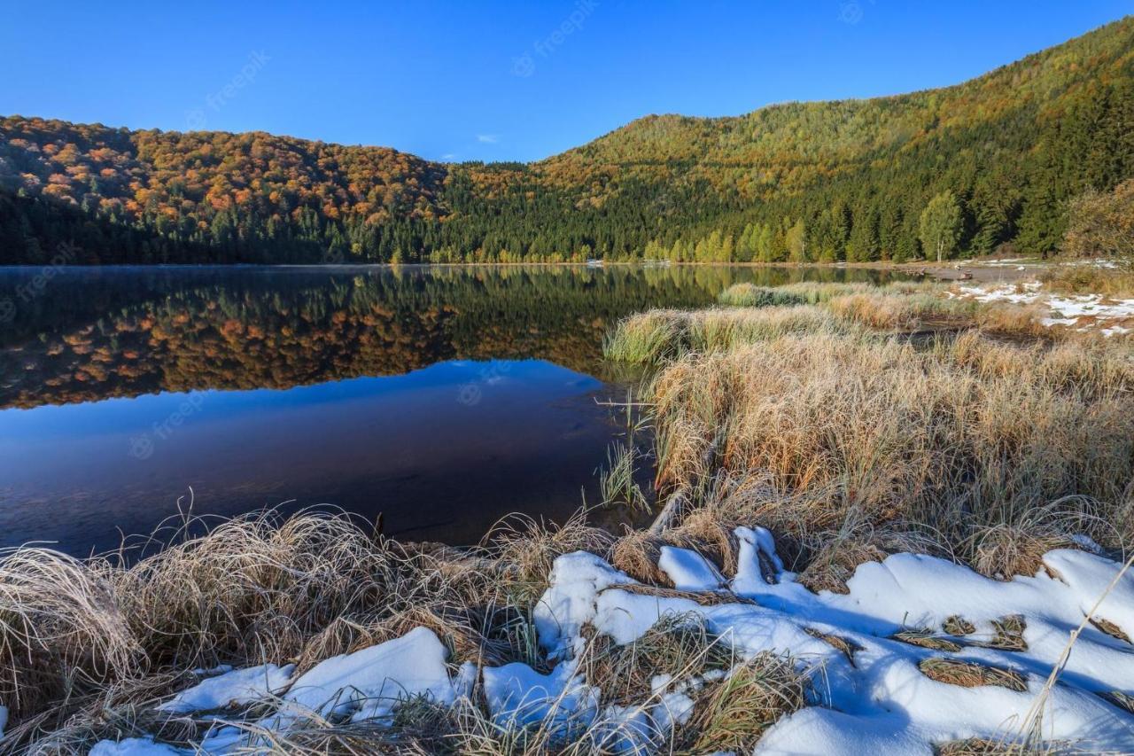 Csiki Hotel Miercurea Ciuc Dış mekan fotoğraf