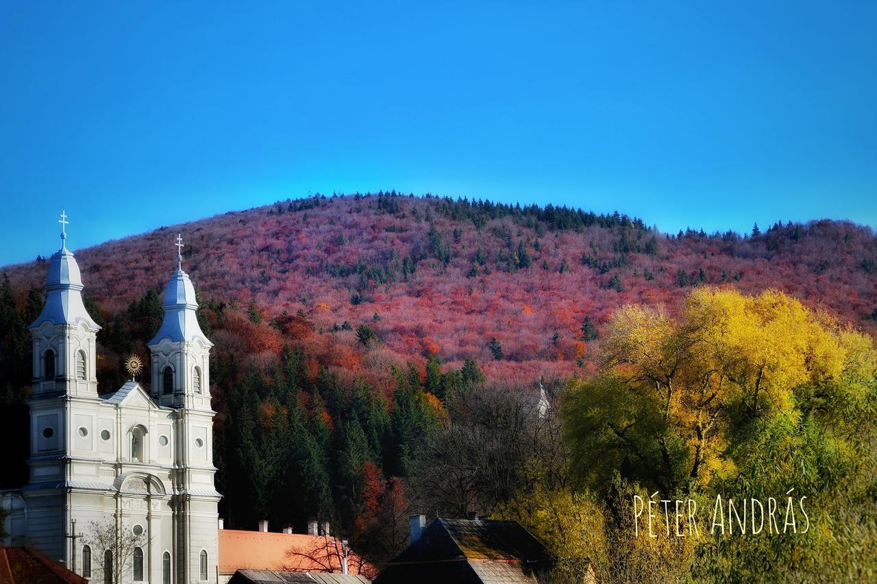 Csiki Hotel Miercurea Ciuc Dış mekan fotoğraf